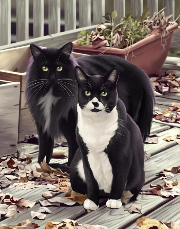 Digital painting of a black & white tuxedo cat and a black longhair cat.
